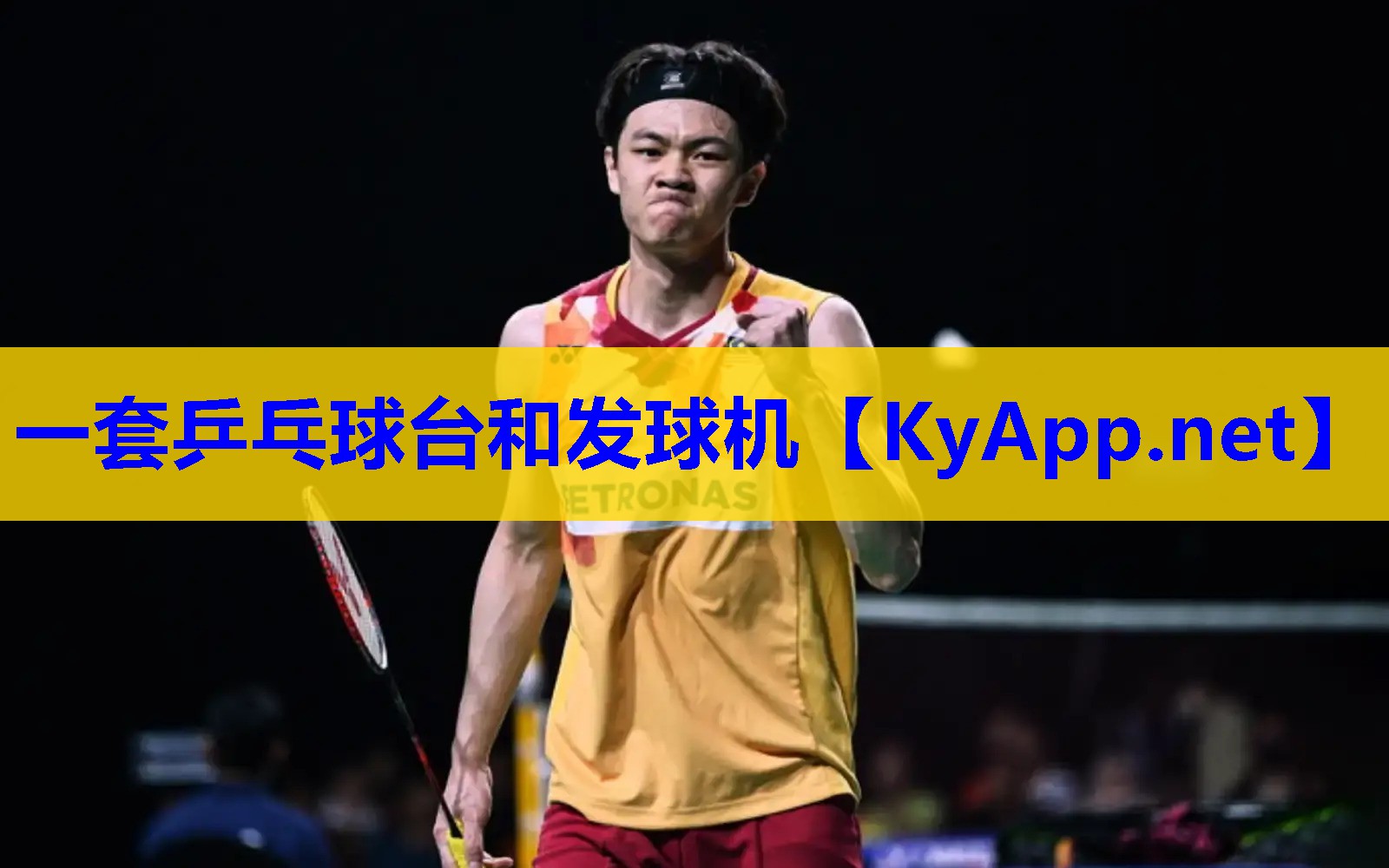 一套乒乓球台和发球机 一套乒乓球台和发球机