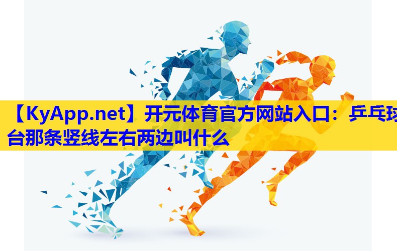 乒乓球台那条竖线左右两边叫什么 乒乓球台那条竖线左右两边叫什么