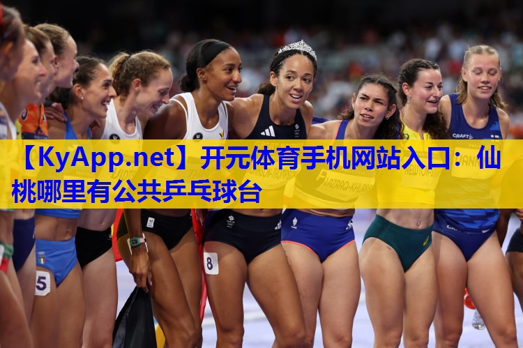 仙桃哪里有公共乒乓球台 仙桃哪里有公共乒乓球台