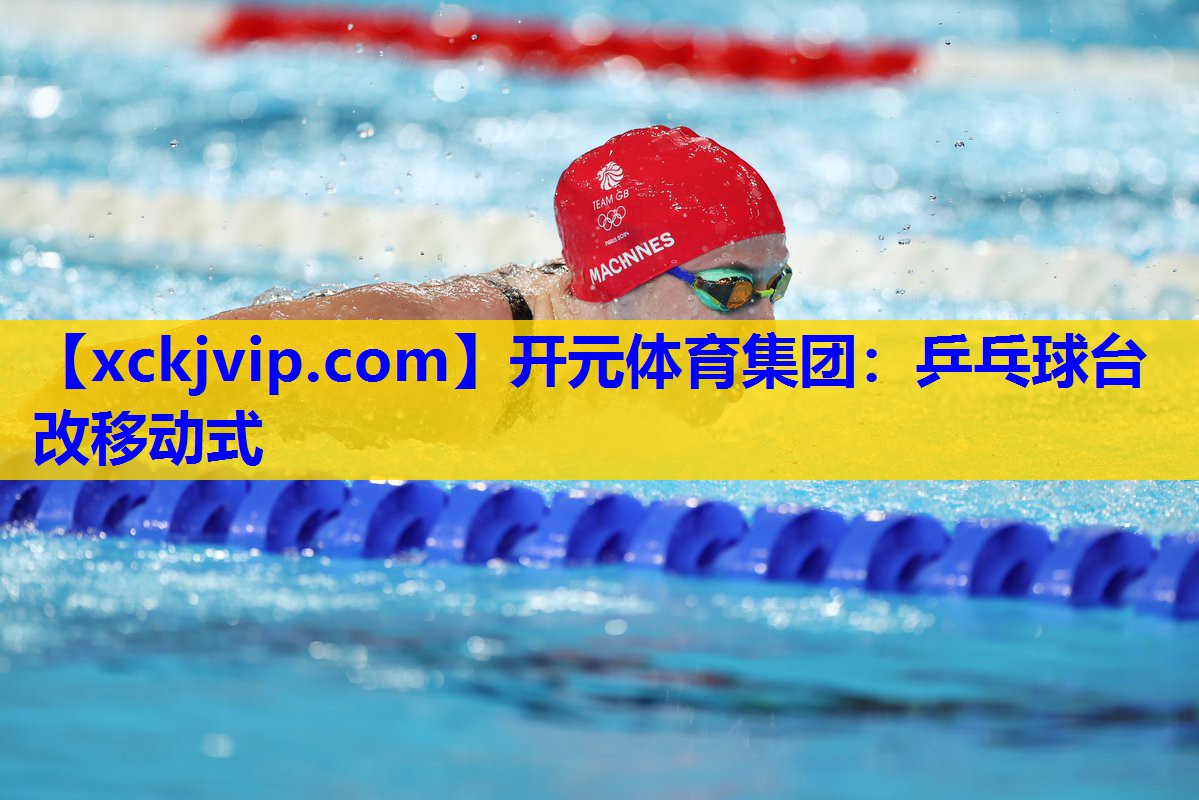 乒乓球台改移动式 乒乓球台改移动式