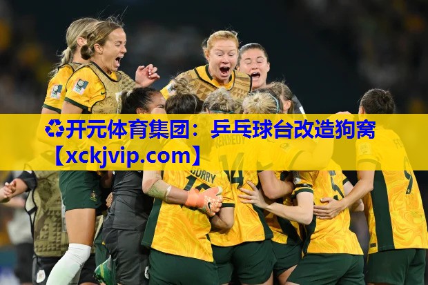 乒乓球台改造狗窝 乒乓球台改造狗窝