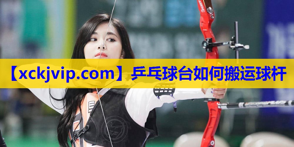 乒乓球台如何搬运球杆 乒乓球台如何搬运球杆