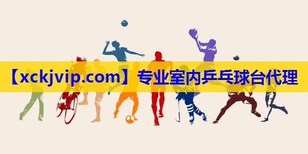 专业室内乒乓球台代理 专业室内乒乓球台代理