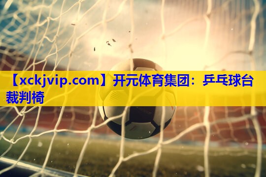 乒乓球台裁判椅 乒乓球台裁判椅
