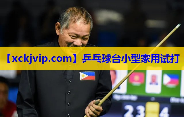 乒乓球台小型家用试打 乒乓球台小型家用试打