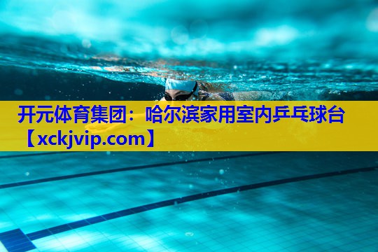 哈尔滨家用室内乒乓球台 哈尔滨家用室内乒乓球台