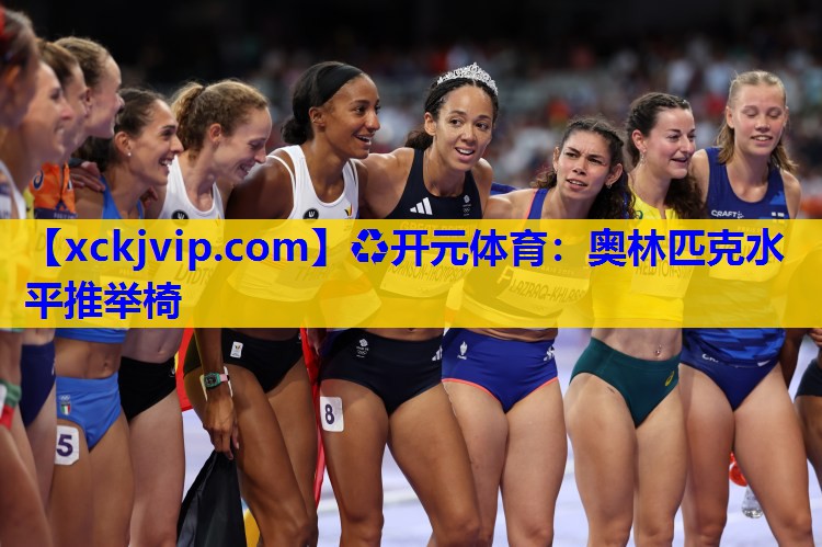 奥林匹克水平推举椅 奥林匹克水平推举椅
