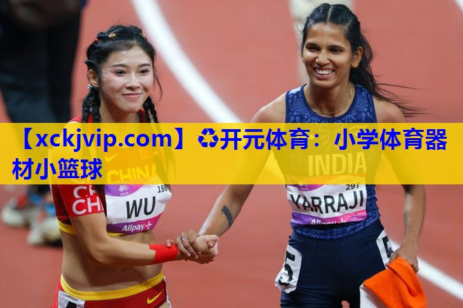 小学体育器材小篮球 小学体育器材小篮球