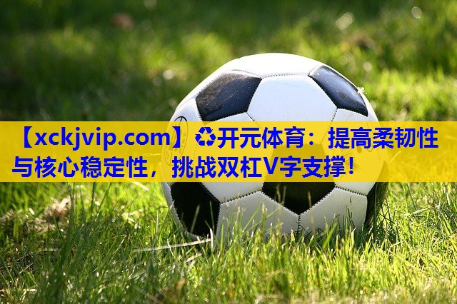 提高柔韧性与核心稳定性,挑战双杠V字支撑! 提高柔韧性与核心稳定性,挑战双杠V字支撑!